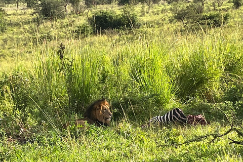 Depuis Kigali : 1 jour de safari dans l&#039;Akagera et tour en bateau. Tout compris