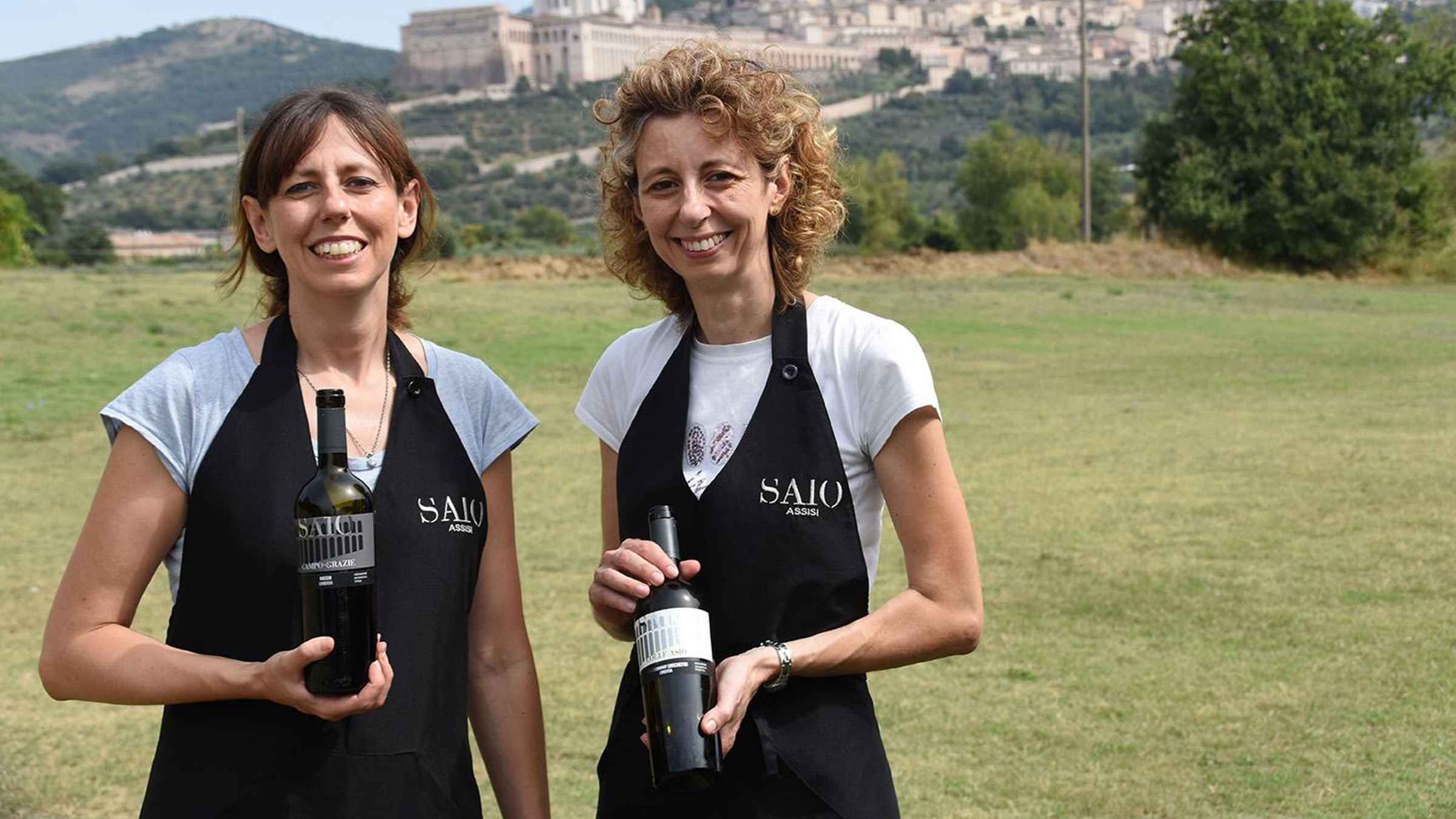Almoço e degustação de 5 vinhos + caminhada nos vinhedos panorâmicos1,