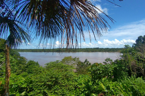 EXPERIÊNCIA COM OS TIKUNAS DA AMAZÔNIASAFÁRI NA AMAZÔNIA