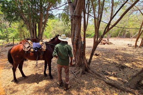 Puerto Escondido: Horseback Ride and Hot Springs Tour