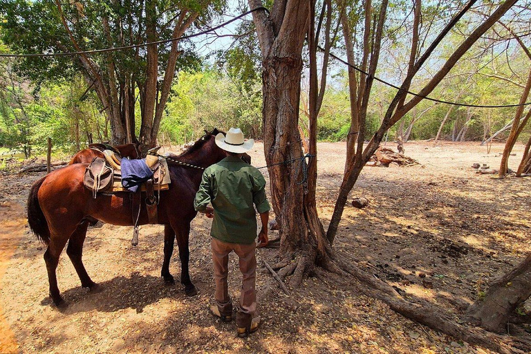 Puerto Escondido: Horseback Ride and Hot Springs Tour