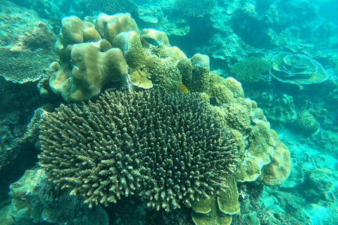 Krabi: 4 Islands Late Tour – No Crowds, Lunch Included