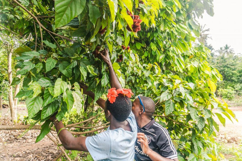 Zanzibar: Spice farm tour with Zanzibar fruits tasting Zanzibar: Spice Farm Walking Tour