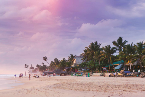 Sri Lanka: 10-Days Beachside Honeymoon TourBeachside Honeymoon