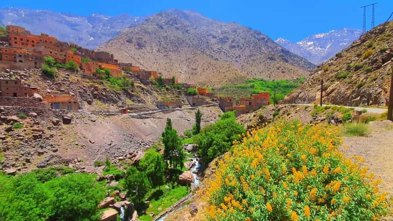 Cultural & Thematic Tours Morocco and Atlas Mountains - Ecotourism in the Atlas Mountains