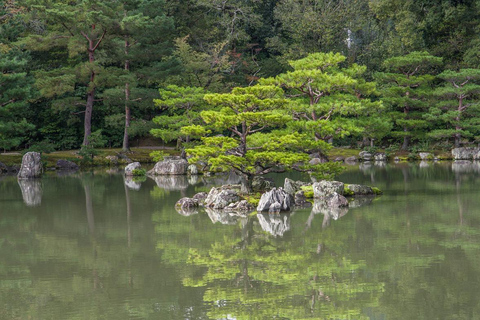 Osaka: Nara i Kioto - prywatna wycieczka 1-dniowa