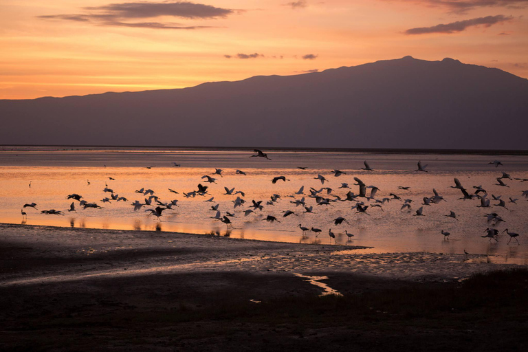 Escursione di 1 giorno sul Lago Natron