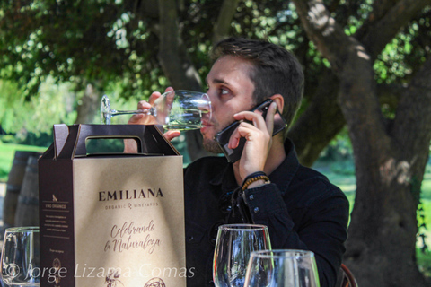 Valparaíso: Casablanca Valley Tour and Wine Tasting