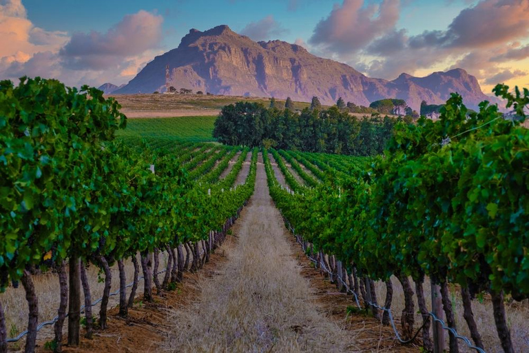 From Cape Town: Stellenbosch Wine Estates Tour with Tastings