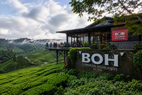 Cameron Highlands Tour Cameron Highlands Tour (Private Tour)