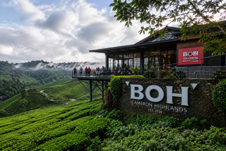 Cameron Highlands Tour Cameron Highlands Tour (Shared Tour)