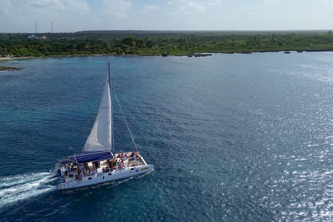 Punta Cana: Saona Island & Altos de Chavón Day Trip