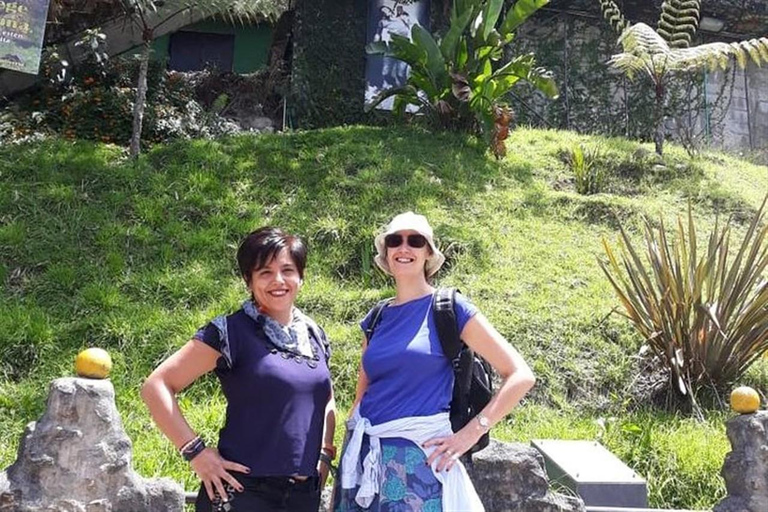 Medellín: tour privato sulla via della fuga di Pablo EscobarMedellín: tour privato sulla rotta di fuga di Pablo Escobar