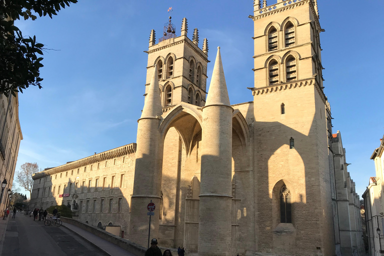 Montpellier: Private Medieval City Walking Tour