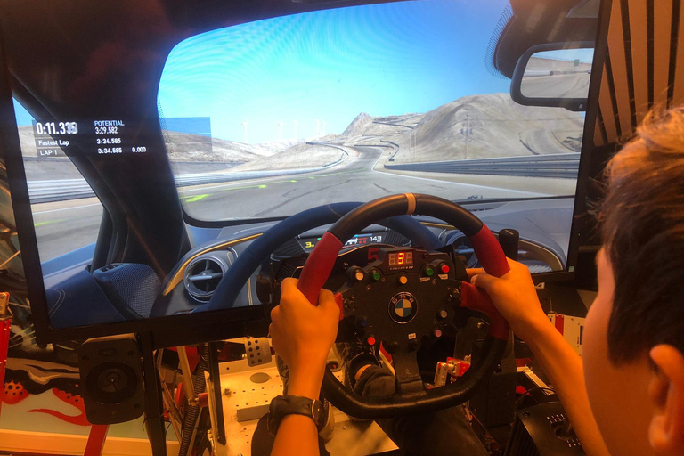 Drammen: Racing Center Simulator Experience