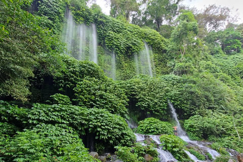 Lombok: Privater Auto/Van Charter mit Fahrer-Guide