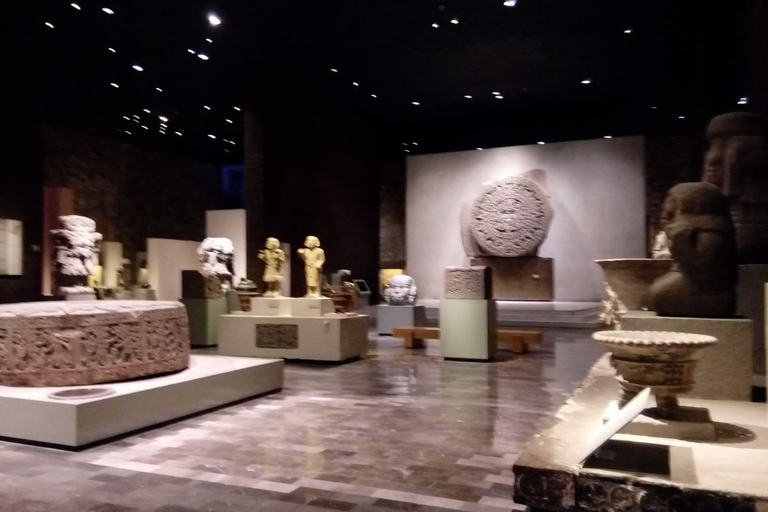 ANTHROPOLOGY MUSEUM : Guided Tour