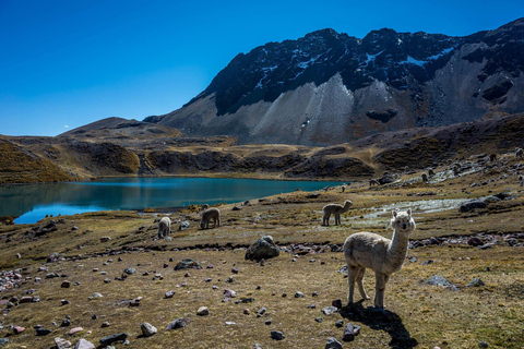 Cusco: Ausangate Tour, seven lakes with lunch