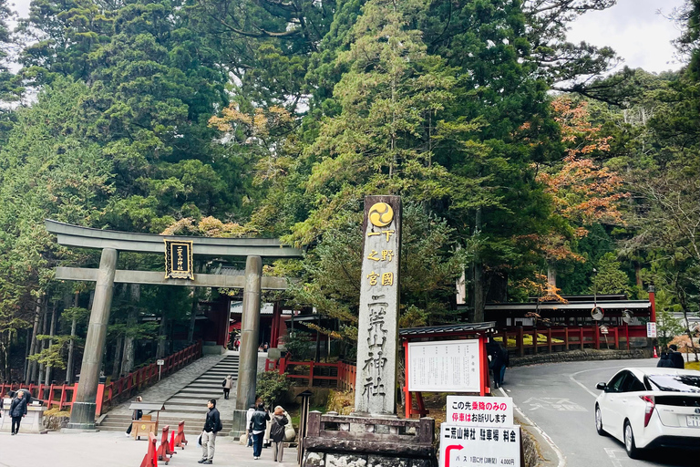 From Tokyo: Nikko Private Day Trip with Pickup & Drop-off