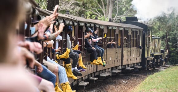 From Melbourne: Puffing Billy Steam Train & Wildlife Tour