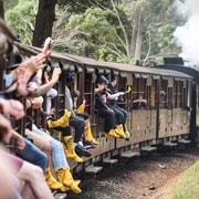 From Melbourne: Puffing Billy Steam Train & Wildlife Tour
