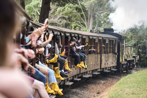 Melbourne: Puffing Billy ångtåg &amp; Penguin Parade Tour