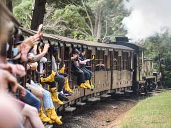 From Melbourne: Puffing Billy Steam Train & Wildlife Tour