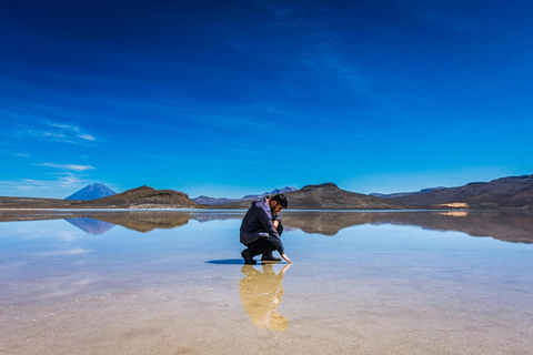 Arequipa : Excursion d&#039;une journée à la lagune Salinas Arequipa