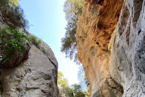 Creta: Tour guiado de senderismo por el Cañón de Kritsa