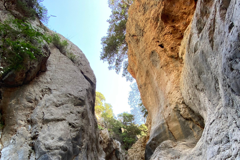 Creta: Tour guiado de senderismo por el Cañón de Kritsa