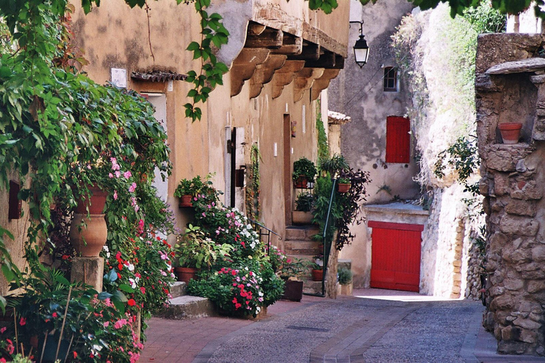 Aix En Provence and Wine Tasting Private Full day Tour