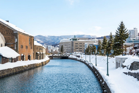 Hokkaido: Hill of the Buddha&Otaru, Mount Tengu Day Trip