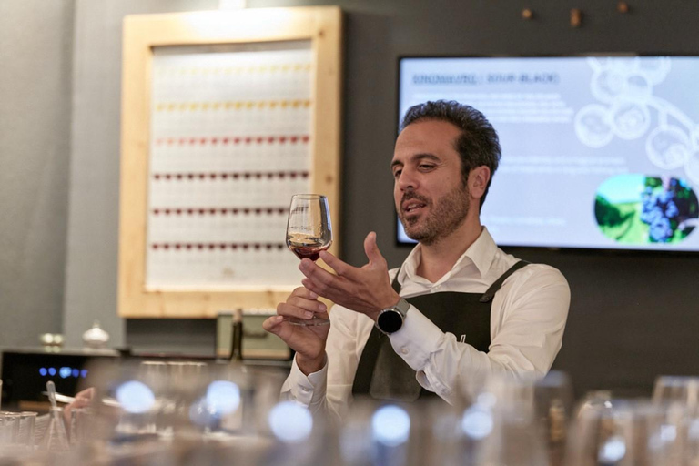 Athens: Create Your Own Wine-Workshop under the Acropolis Athens: Create Your Own Wine Workshop under the Acropolis