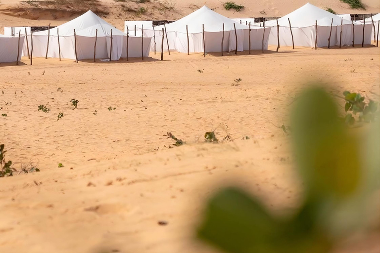 Lompoul Desert: 4x4 Dune Safari, Camel Ride & Overnight
