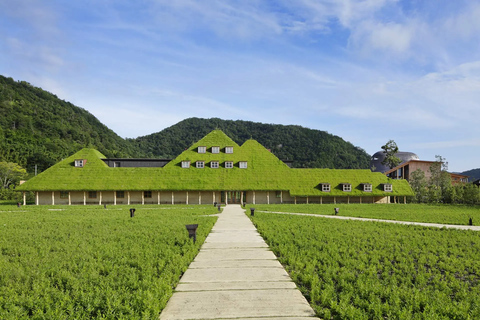 Lake Biwa & Omi Hachiman Day Tour from Osaka or Kyoto Departure from Osaka