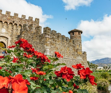 San Francisco: Luxury Small-Group Wine Tour of Napa Valley