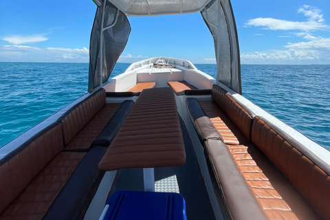 Nurkowanie z rurką w Kizimkazi i wycieczka na piaszczystą łachę (cały dzień)