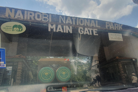 Nairobi: National Park Layover Tour mit Flughafentransfers.