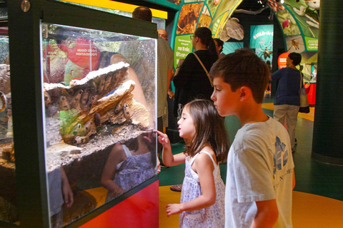 Nouvelle-Orléans : Billet pour l'Aquarium et l'Insectarium Audubon