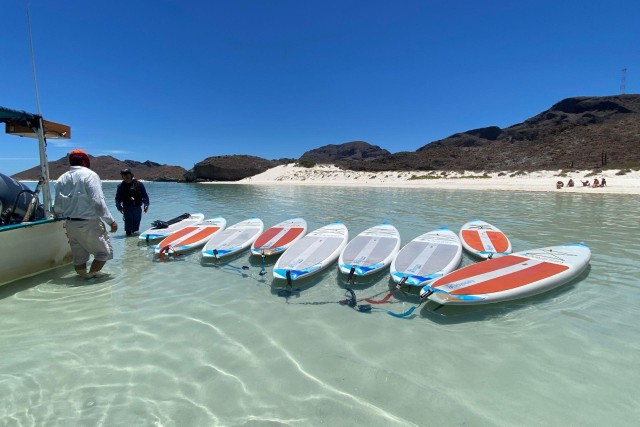 From La Paz: Sea Lions & Paddleboard Tour in Balandra