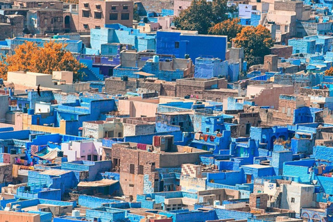 India: 15-Day Tour of Delhi, Jaisalmer, Jodhpur, and Udaipur