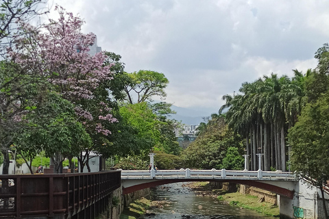 Walking Tour in Cali with Fruit Tasting and Salsa Discover Cali on Foot: Fruit, History, and Salsa