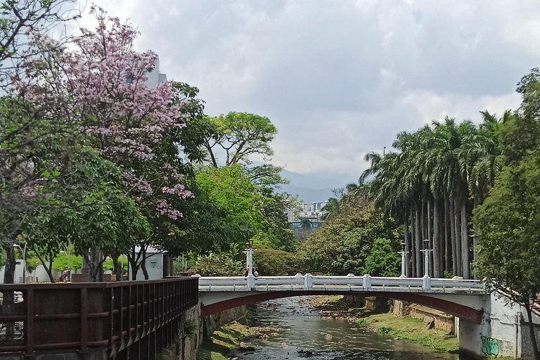 Walking Tour in Cali with Fruit Tasting and Salsa Discover Cali on Foot: Fruit, History, and Salsa