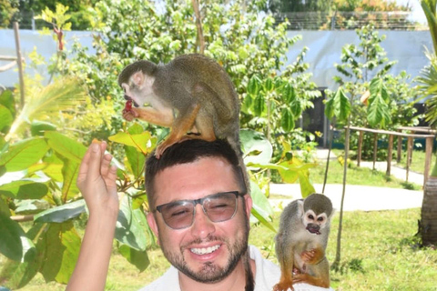 普拉塔港：从泰诺湾/安伯湾出发的猴子之旅和城市之旅普拉塔港：塔伊诺湾/安伯湾的猴子之旅和城市之旅