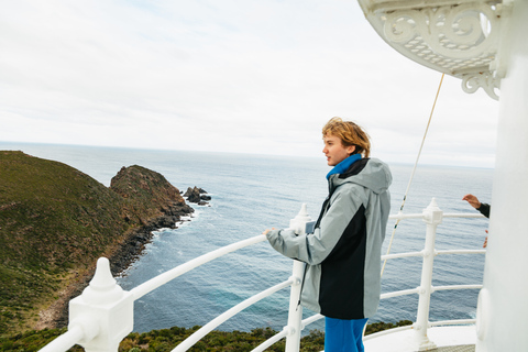 Hobart: Bruny Island Abenteuer mit Mittagessen und Leuchtturm-Tour