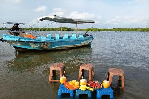 Hamilton Canal Boat Sapari & Negombo Mangrove Sightseeing