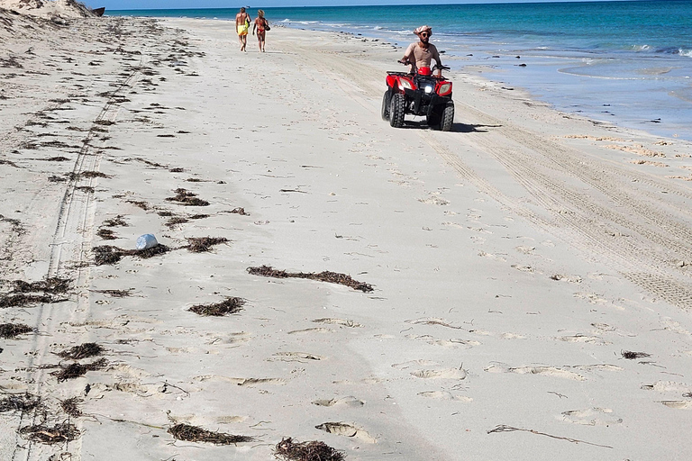 Djerba: Ride to the Pink Flamingo Peninsula by Electric Bike