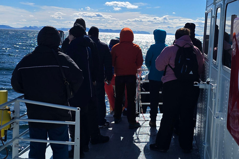 Andenes: Responsible Whale Watching with Classic Catamaran