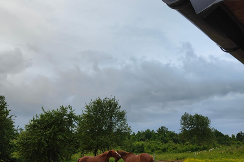 Plitvice: Horseback Riding Tour with Cave Entry Ticket Ride to Barać Caves (Half‑day Horseback Tour)