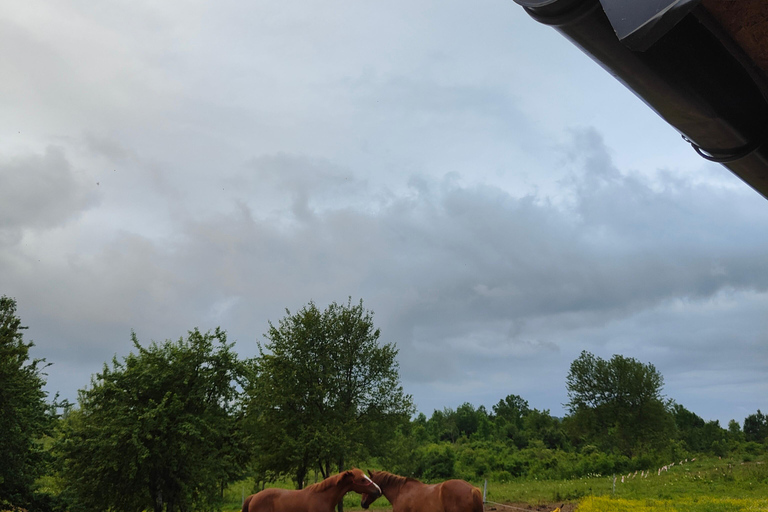 Plitvice: Horseback Riding Tour with Cave Entry Ticket Ride to Barać Caves (Half‑day Horseback Tour)